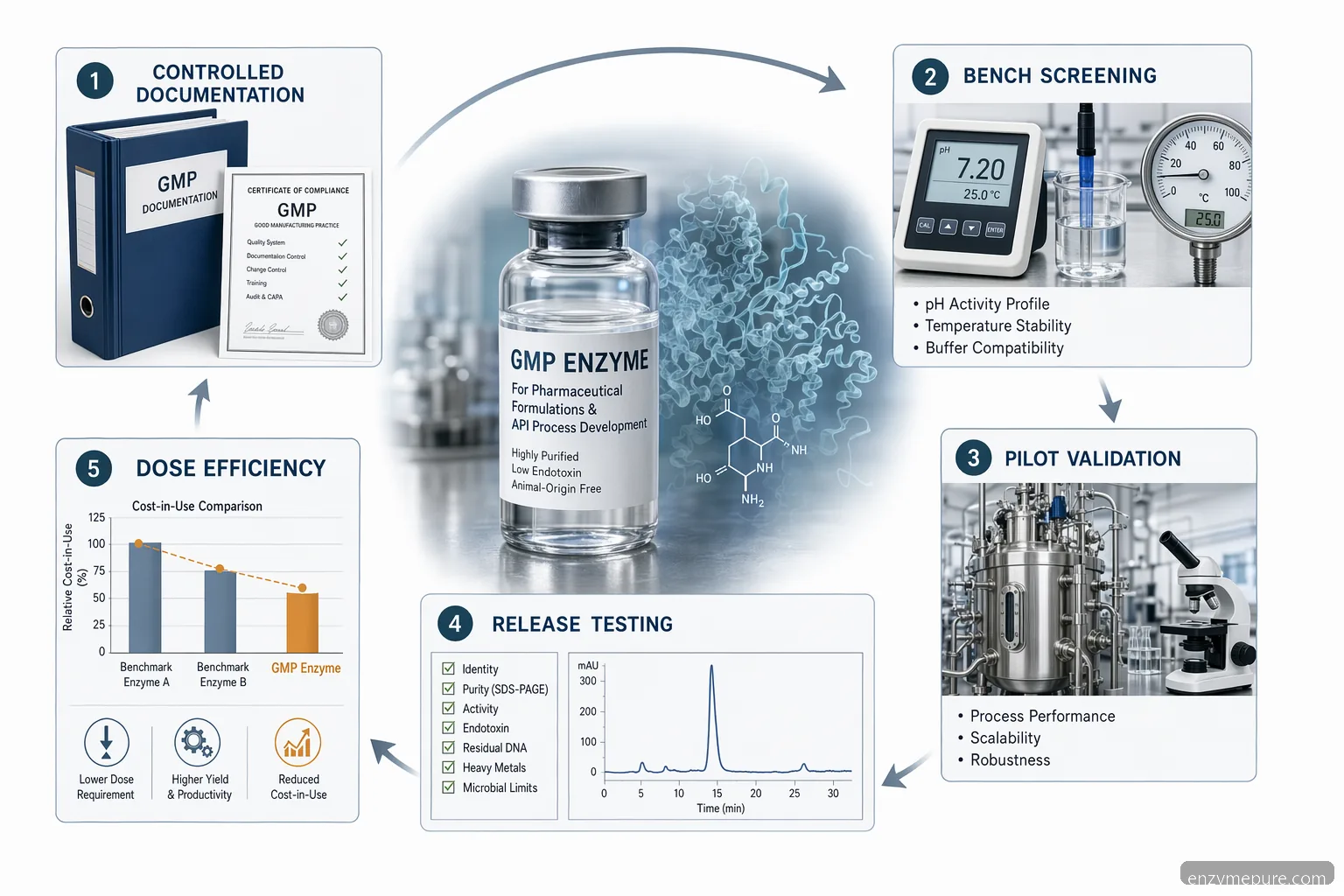 gmp enzyme for pharmaceutical formulations infographic with GMP controls, screening, documentation, QC, and cost cues
