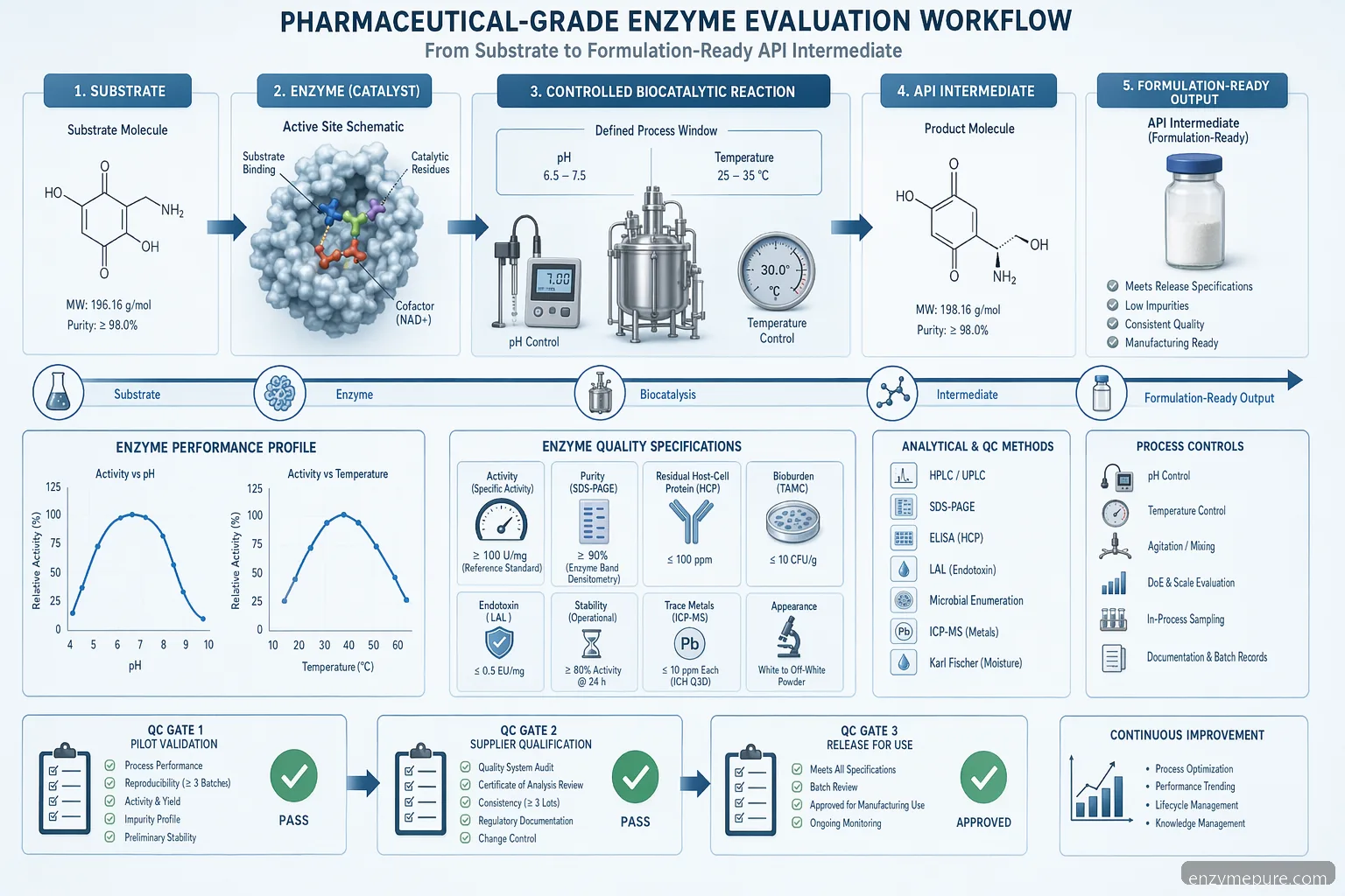 industrial pharmaceutical grade enzyme pharmaceutical process diagram mapping substrate conversion, pH, temperature, and QC gates