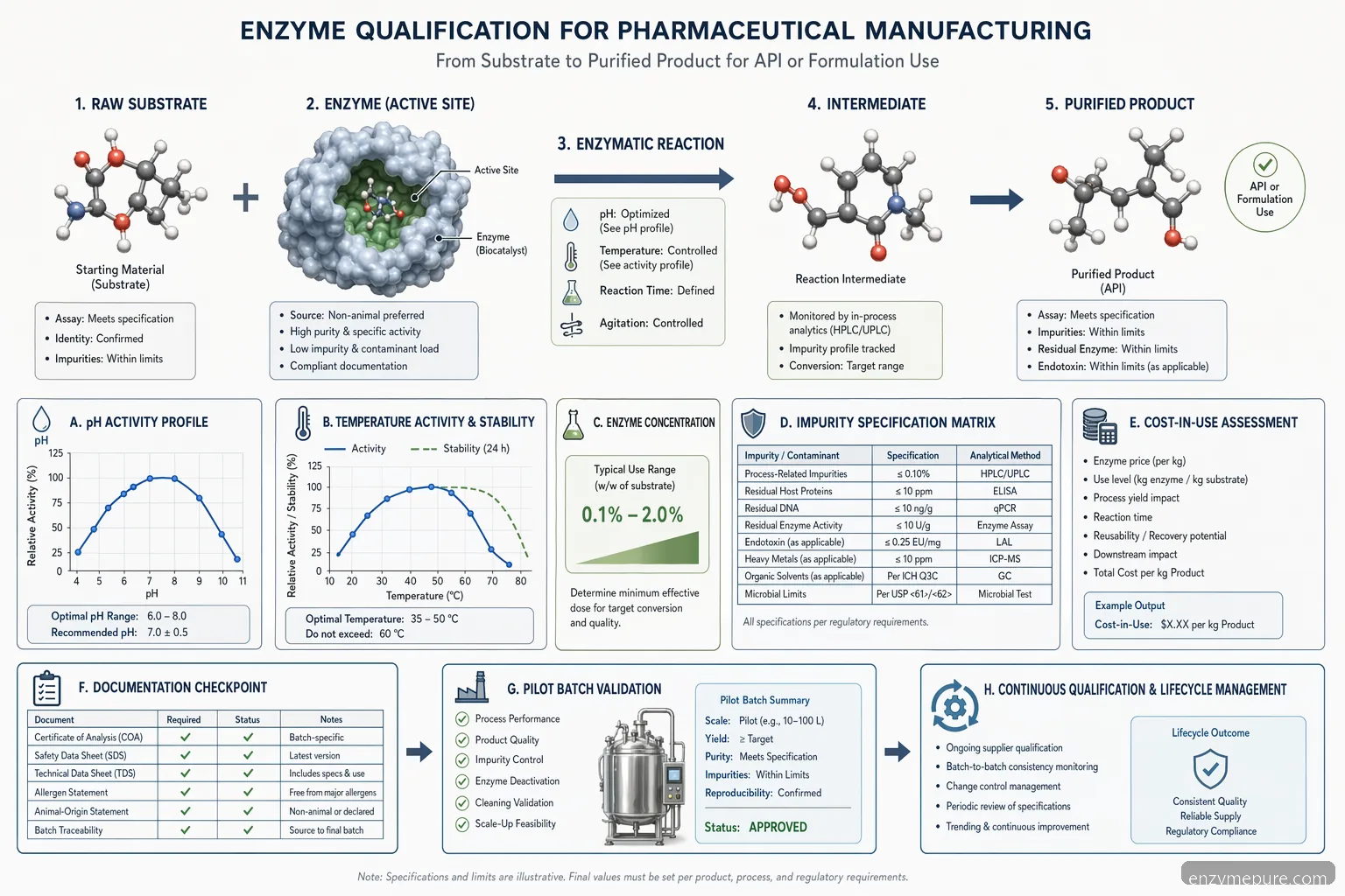 pharma enzyme supplier for pharmaceutical manufacturing diagram showing pH, temperature, substrate-to-product flow, and validation checkpoints
