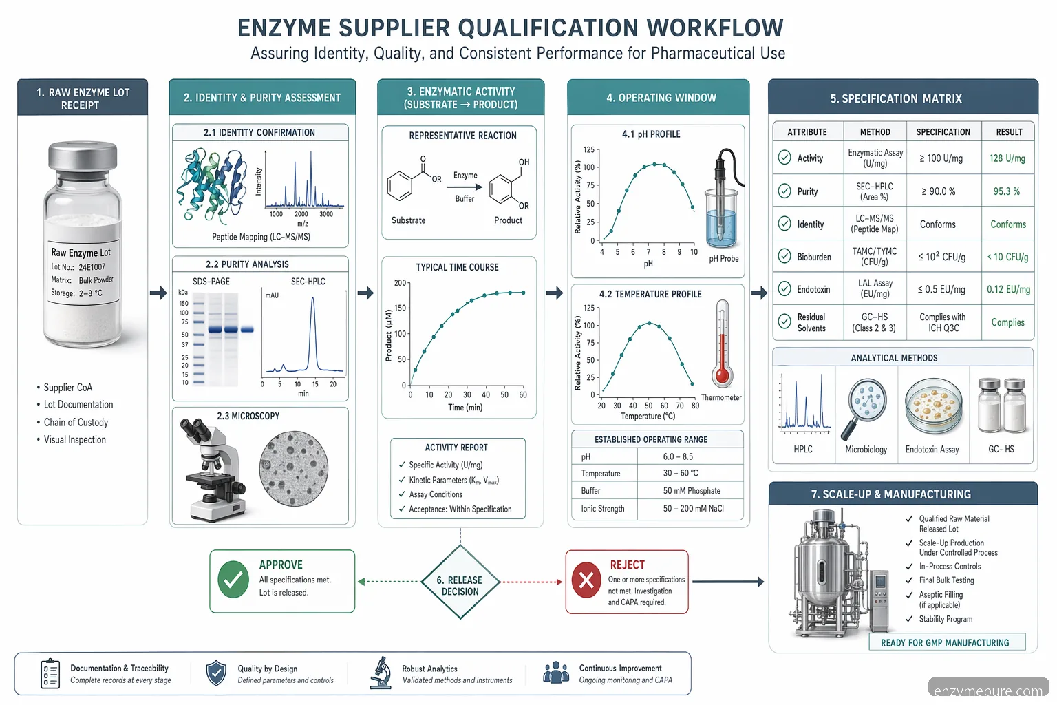 pharma enzyme supplier supplier for pharmaceutical specification checklist mapping pH, temperature, assay, and release criteria